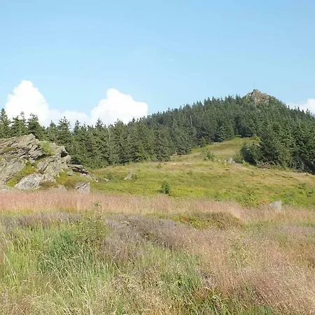 Apartment Schmalzreich Lam