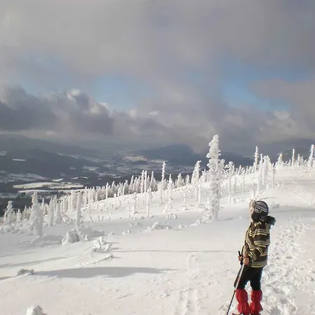 Gaestehaus Schmalzreich Lam